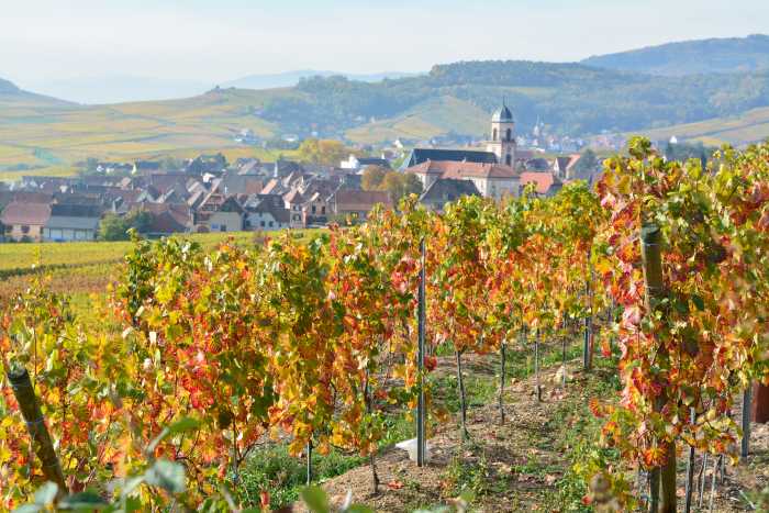 NOUVEAU la Raclette et Fondu Fromage