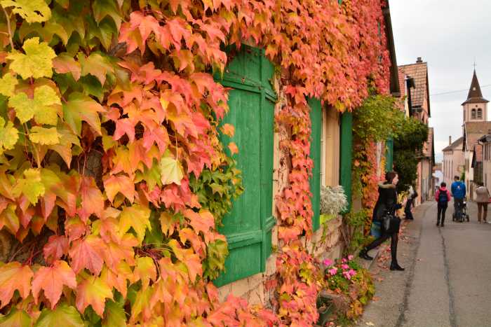 NOUVEAU la Raclette et Fondu Fromage